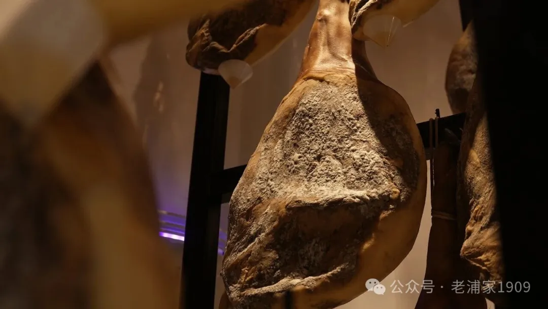 身披绿甲的宣威火腿—假灰绿曲霉与宣威火腿的微生物密码